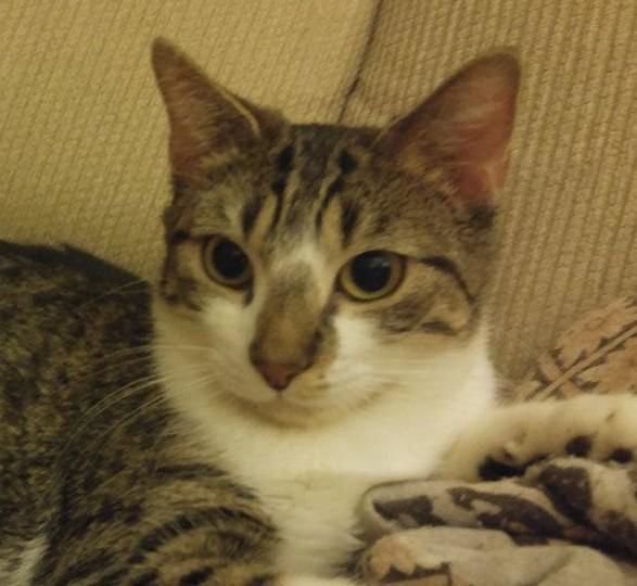 Mia
